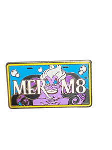 5289 MER M8 LICENSE 27 4 097917
