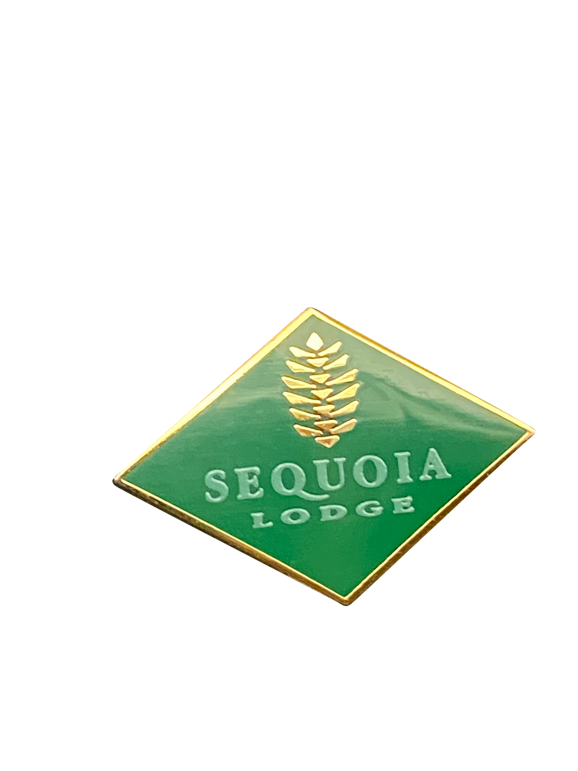 5089 SEQUOIA LODGE DLP 28 6 015737