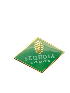 5089 SEQUOIA LODGE DLP 28 6 015737