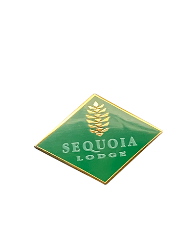5089 SEQUOIA LODGE DLP 28 6 015737