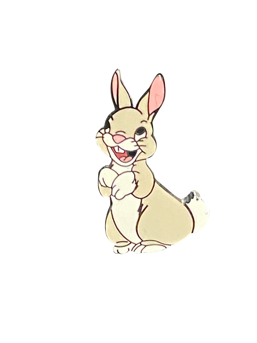 1105 RABBIT  005627| BAG 6