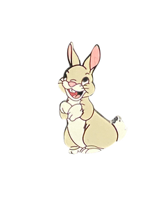 1105 RABBIT  005627| BAG 6