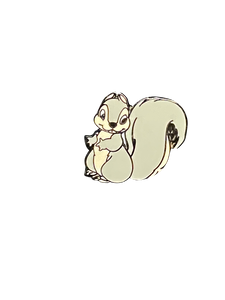 1106 SQUIRREL  006140| BAG 6