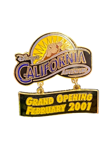 3572 DCA GRAND OPENING FEB 2001 7 10 004143