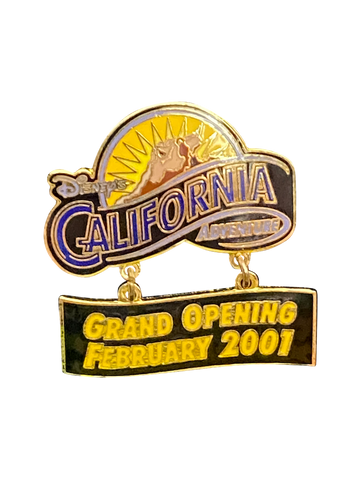 3572 DCA GRAND OPENING FEB 2001 7 10 004143