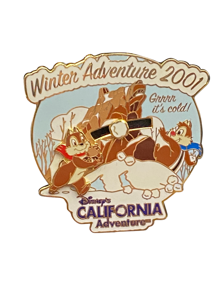 2027 DCA WINTER ADVENTURE 2001 8 1 008771