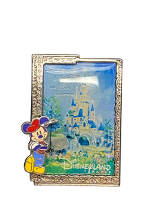 DISNEYLAND PARIS CASTLE FRAMED 8 7 010493