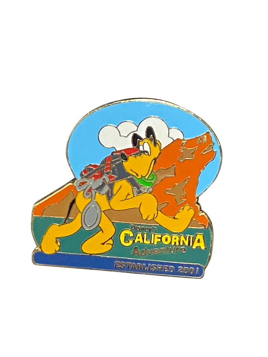 2446 DCA ESTABLISHED 2001 PLUTO 12 4 011562
